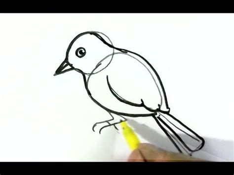 2.draw a mouth at the gap, as shown. How to draw Easy Bird easy steps for children. beginners ...