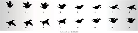 Top 186 Bird Flying 2d Animation