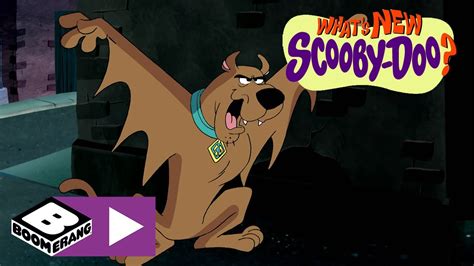 What S New Scooby Doo On The Hunt For Clues Boomerang UK YouTube