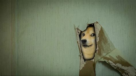 Dog Meme Wallpapers Wallpaper Cave