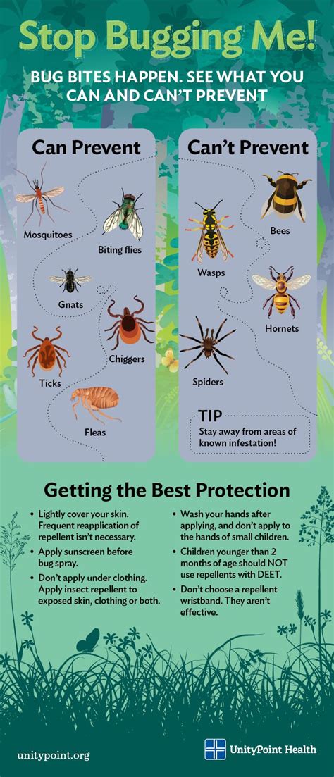 Identifying Bug Bites How To Prevent And Treat Infographic