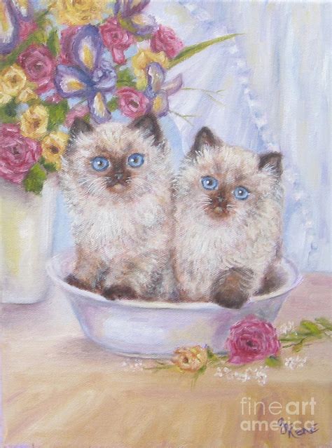 1000 Images About 48 Cats And Art Heavenly Himalayan And Ragdoll