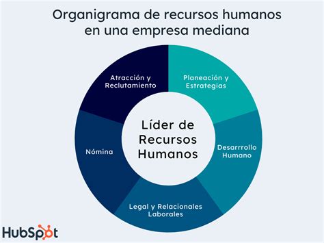 Ejemplos De Organigramas De Recursos Humanos