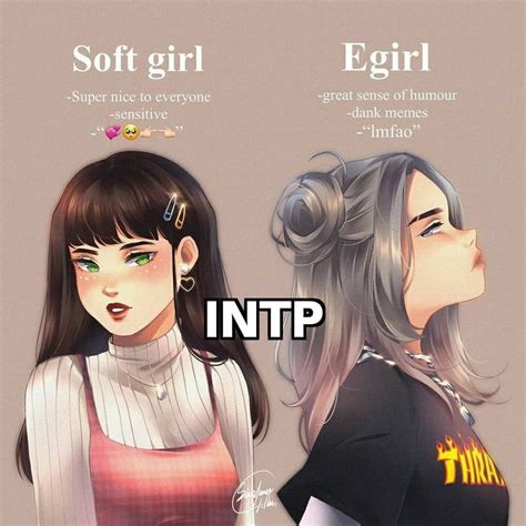 2 Types Of Girls In 2022 Intp Personality Mbti Mbti Relationships