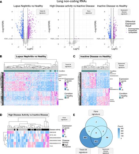 Frontiers A Network Based Approach Reveals Long Non Coding Rnas