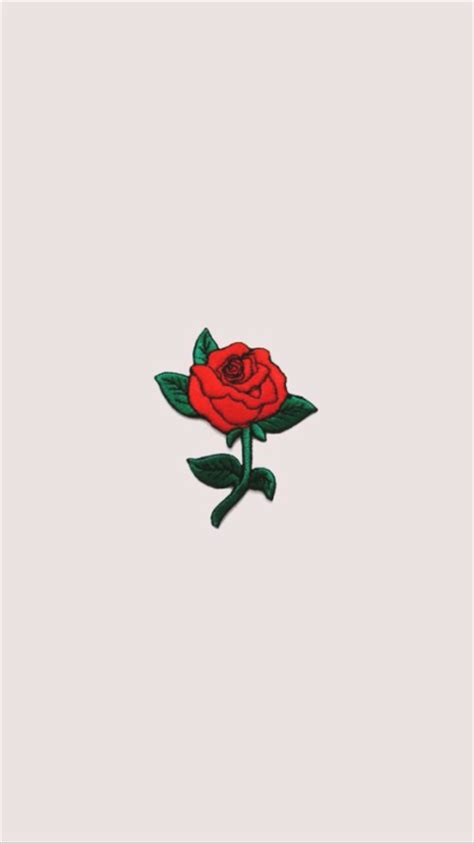 Which is the best red rose desktop background? red rose wallpaper | Tumblr