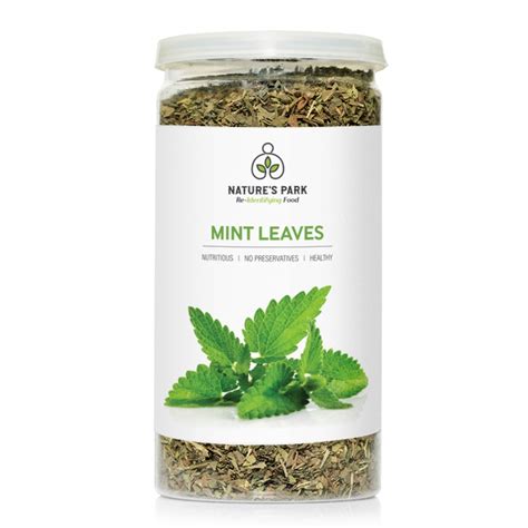 Welcome To The World Of Nature And Nutrition Mint Leaves Welcome To