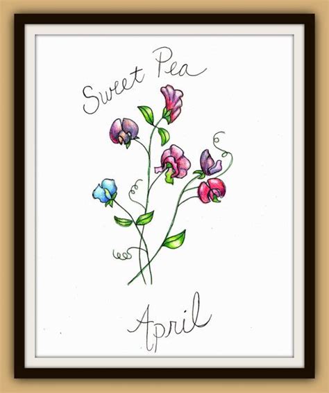 Sweet Pea April Birth Flower Print 8x10 With Beautiful Pink Florals And