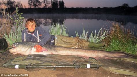 The largest marlin ever caught on rod and reel year 1970 / 1805 lbs. 14-year-old boy reels in huge catfish weighing more than ...