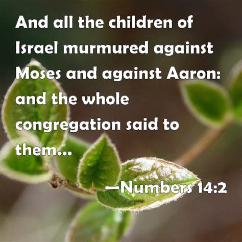 Numbers 142 And All The Children Of Israel Murmured Against Moses And