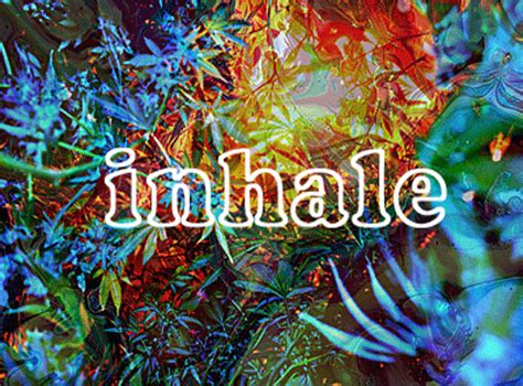 Wallpaper iphone 5 random backgrounds pinterest wallpaper trippy. Trippy Stoner Wallpaper - WallpaperSafari