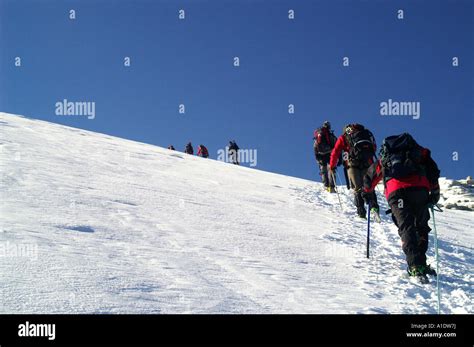 Line Of Climbers On Steep Mountain Glacier Ascending Towards Gran Paradiso Italy Alps Summer