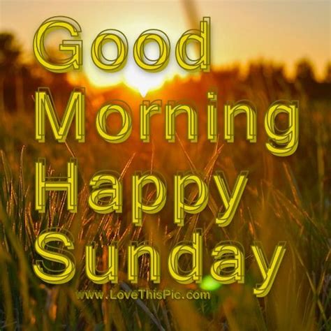 Good Morning Happy Sunday Sunrise Pictures Photos And Images For