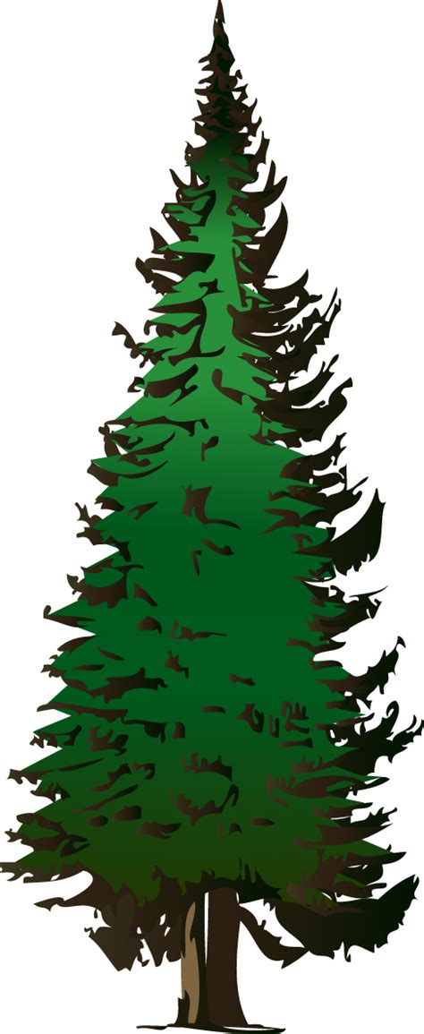 Pine Tree Vector Art Clipart Best