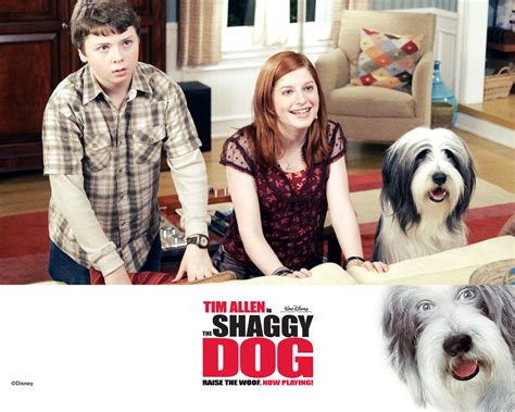 Watch Streaming Hd The Shaggy Dog Starring Tim Allen Kristin Davis