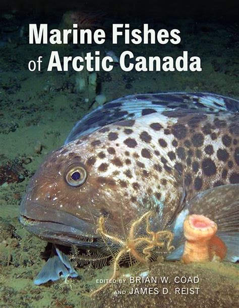 New Book Dishes On Over 200 Arctic Fishes Nunatsiaq News