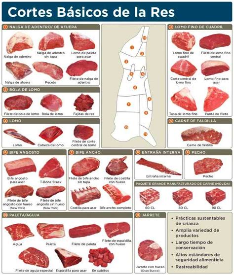 Tipos De Carne Clasificacion Y Principales Diferencias Images