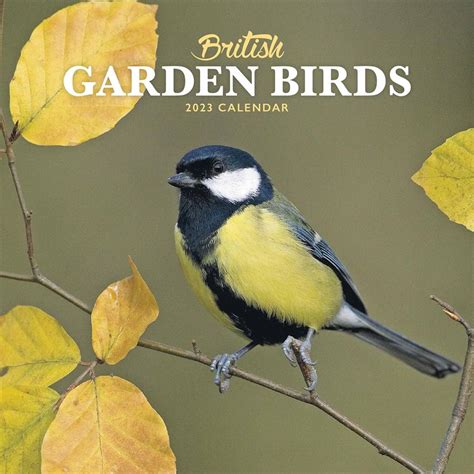 2023 British Garden Birds Small Square Calendar
