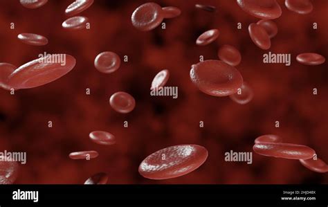 Red Blood Cells On A Red Background Flow Of Blood In A Living Organism