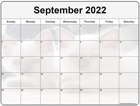 Cat Calendar Pages September 2022 January Calendar 2022