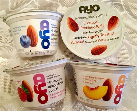 Product Review Ayo Organic Almond Milk Yogurt The Worley Gig