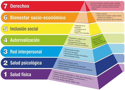 Pirámide De Maslow El Cerebro Habla