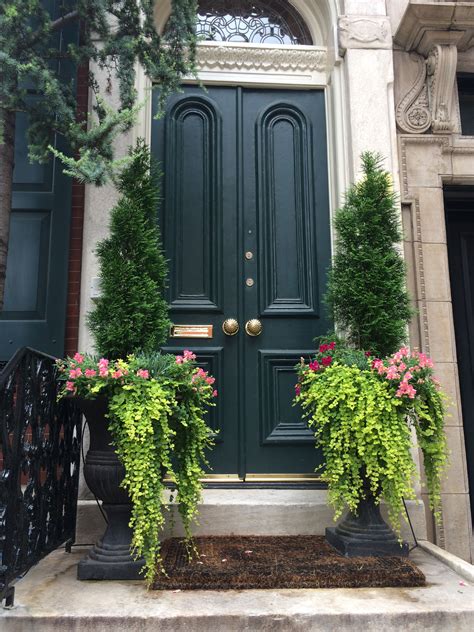 20 plants for front door entrance