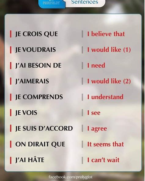 French sentence starters | Basic french words, French language lessons ...