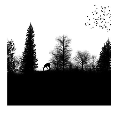 Silhouette Drawing Forest Silhouette Png Download 28962896 Free