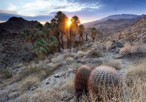 National Parks Too Crowded Visit These Nearby National Forests Instead