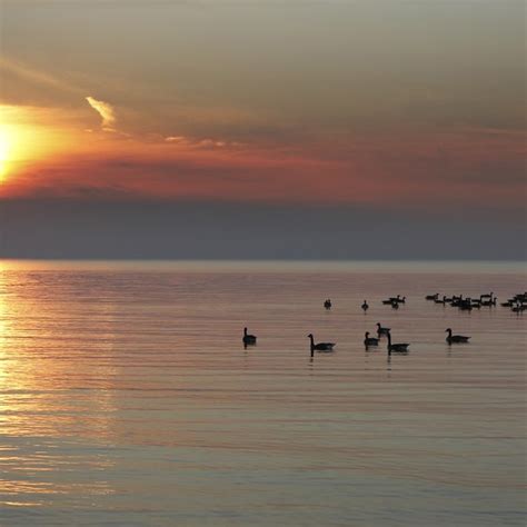 Kincardine is a municipality located on the shores of lake huron in bruce county in the province of ontario, canada. Pet-Friendly Rental Cabins on Lake Huron, Michigan | USA Today