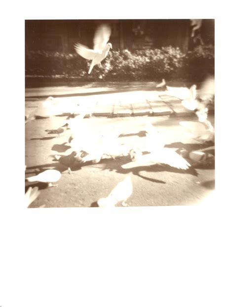 PhotoBlog de Juan Carrasco: Fomatone MG Classic Warm Tone Glossy 131