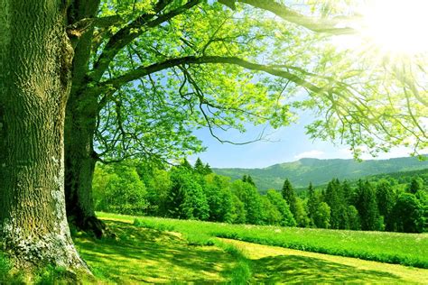 29 Pakistan Nature Wallpapers Basty Wallpaper