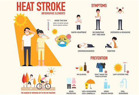 Heat Stroke Infographics Signs Symptoms And Prvention Information The