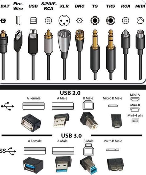 Types Of Computer Cables Guide Hot Sex Picture