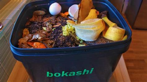 Everything You Need To Know About Bokashi Composting