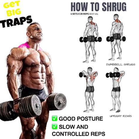 How To Do Dumbbell Shrug Proper Form Technique Video And Guide