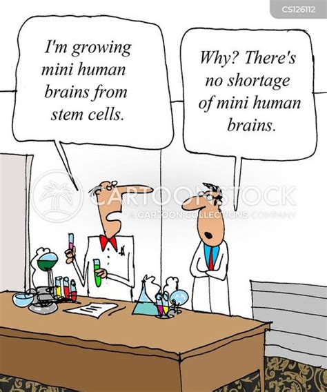 Stem Cell Cartoons And Comics Funny Pictures From Cartoonstock
