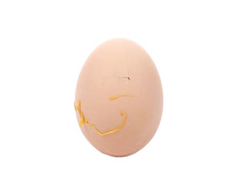 Gambar Telur Ayam Pecah Png Vektor Psd Dan Clipart Dengan Background