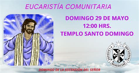 Pastoral Mmdd Concepción Eucaristía Comunitaria Domingo 29 De Mayo A Las 1200 Horas