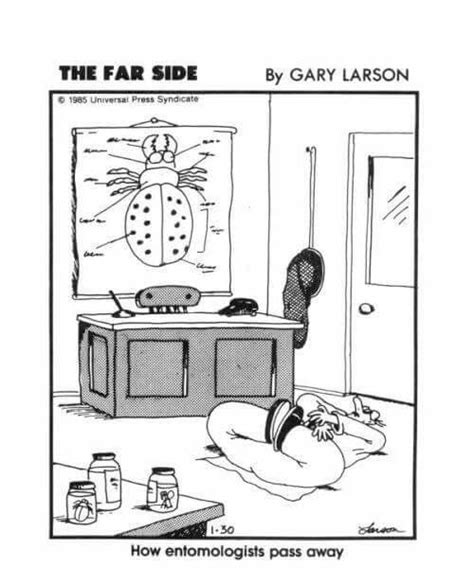 260 Best Gary Larson Images On Pinterest Humour The Far Side And