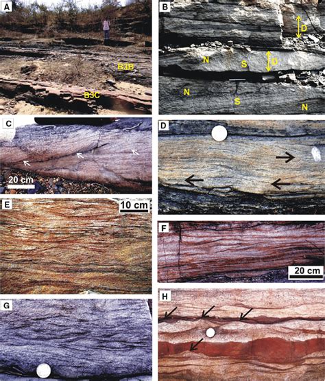 A Field Exposure Of The Sandstone Siltstone Mudstone Facies