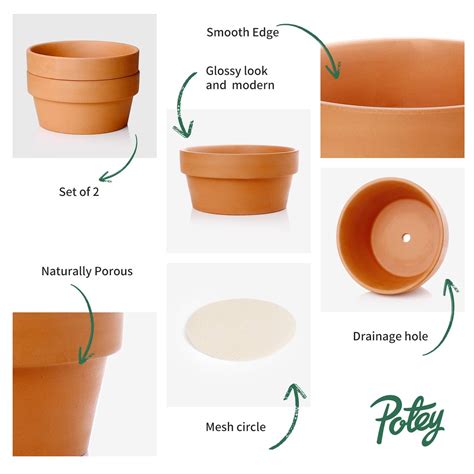 Potey Terracotta Shallow Planters For Succulent 61 Inch Cactus Plant