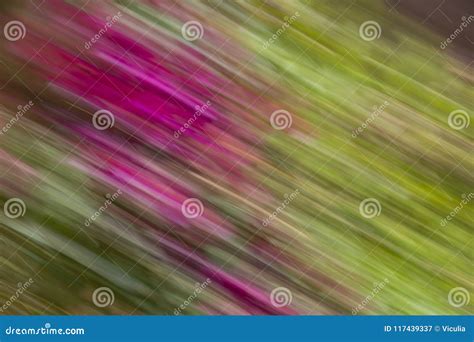 Abstract Motion Blur Effect Spring Blurred Flowers Stock Image