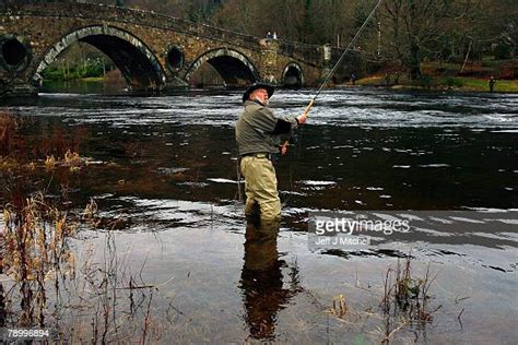 Salmon Fishing Season Opens On The River Tay Photos And Premium High