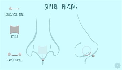 7 Popular Types Of Nose Piercings And Their Corresponding Jewelry Because