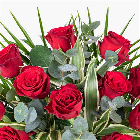 12 Select Red Roses Next Day Delivery Uk Haute Florist