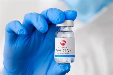 Vaksin Sinovac Manfaat Dosis Dan Efek Samping Alodokter