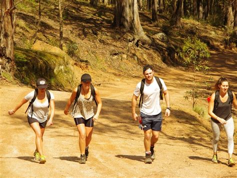 Six Foot Track Nsw Holidays And Accommodation Things To Do