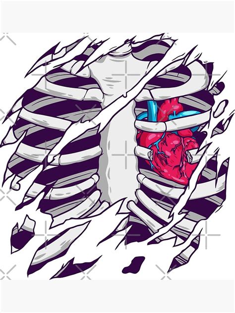 Skeleton Rib Cage Heart Poster For Sale By Aybishop Redbubble